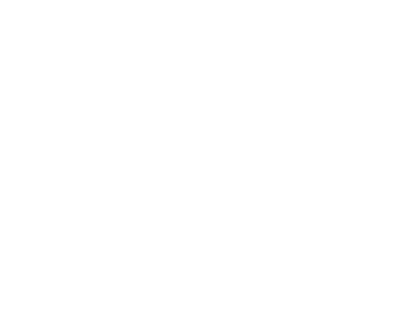 Connors State College